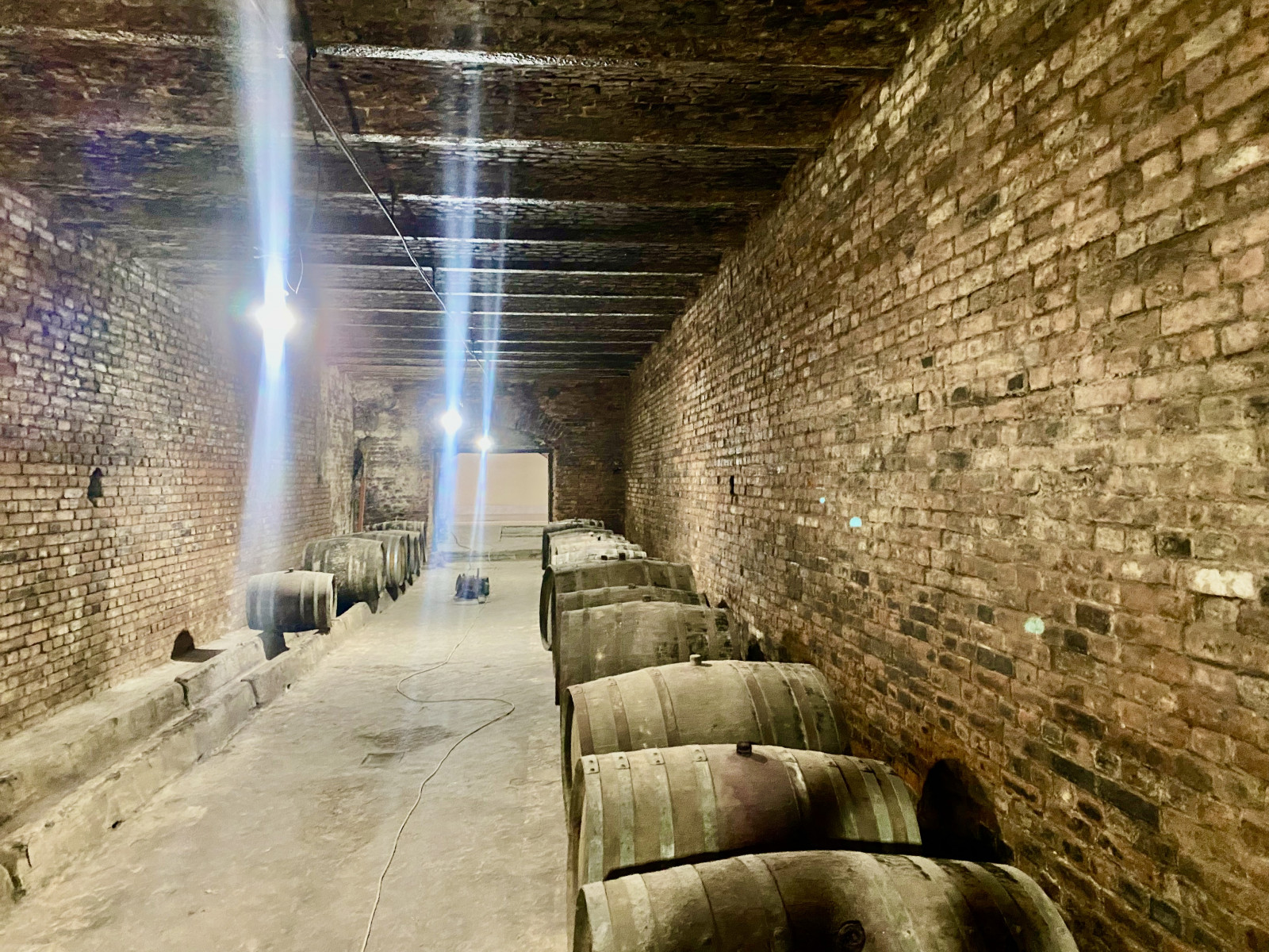 Historic Doina Vin wine cellar in Moldova with oak barrels